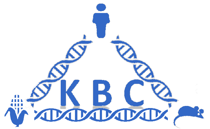 KBCommons logo